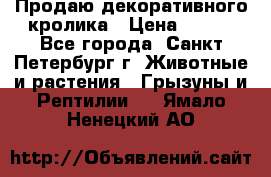 Продаю декоративного кролика › Цена ­ 500 - Все города, Санкт-Петербург г. Животные и растения » Грызуны и Рептилии   . Ямало-Ненецкий АО